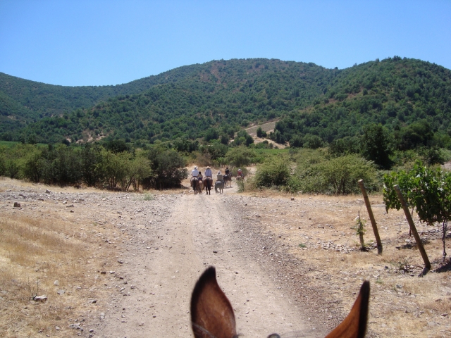  Horseback riding for two people 